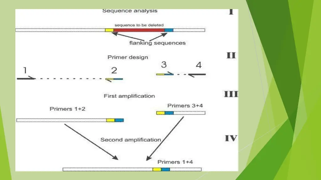 slide30