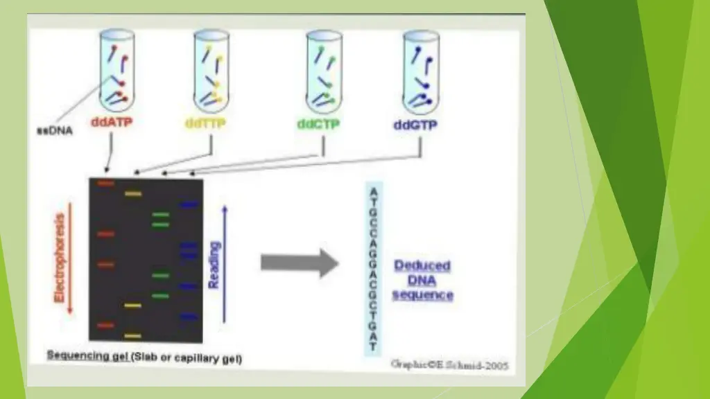slide7