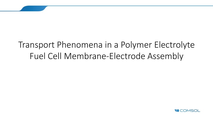 transport phenomena in a polymer electrolyte fuel