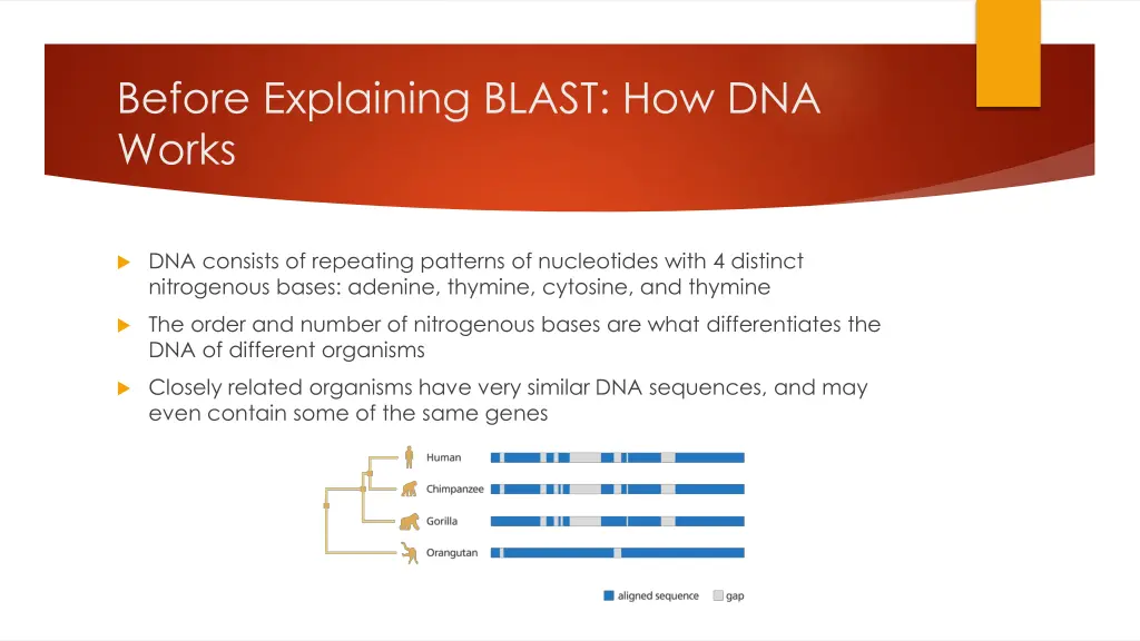 before explaining blast how dna works
