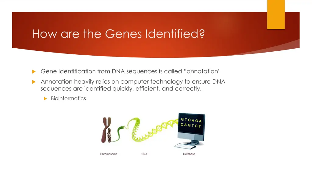 how are the genes identified