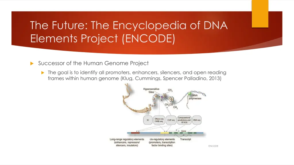 the future the encyclopedia of dna elements