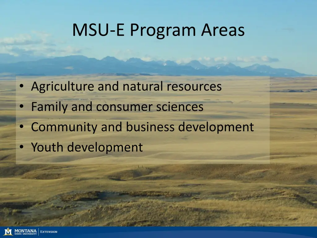 msu e program areas