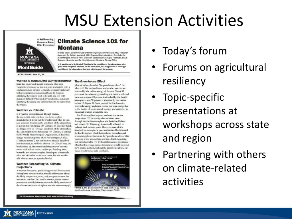 msu extension activities