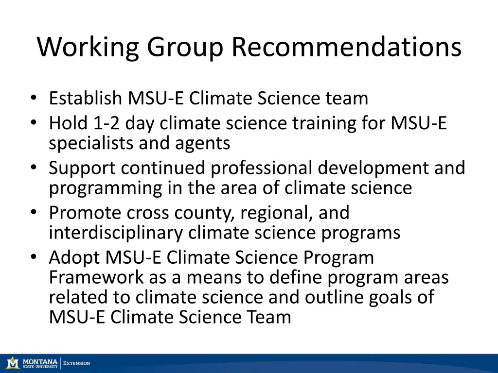 working group recommendations