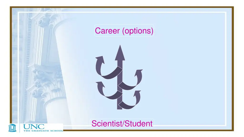 career options 1