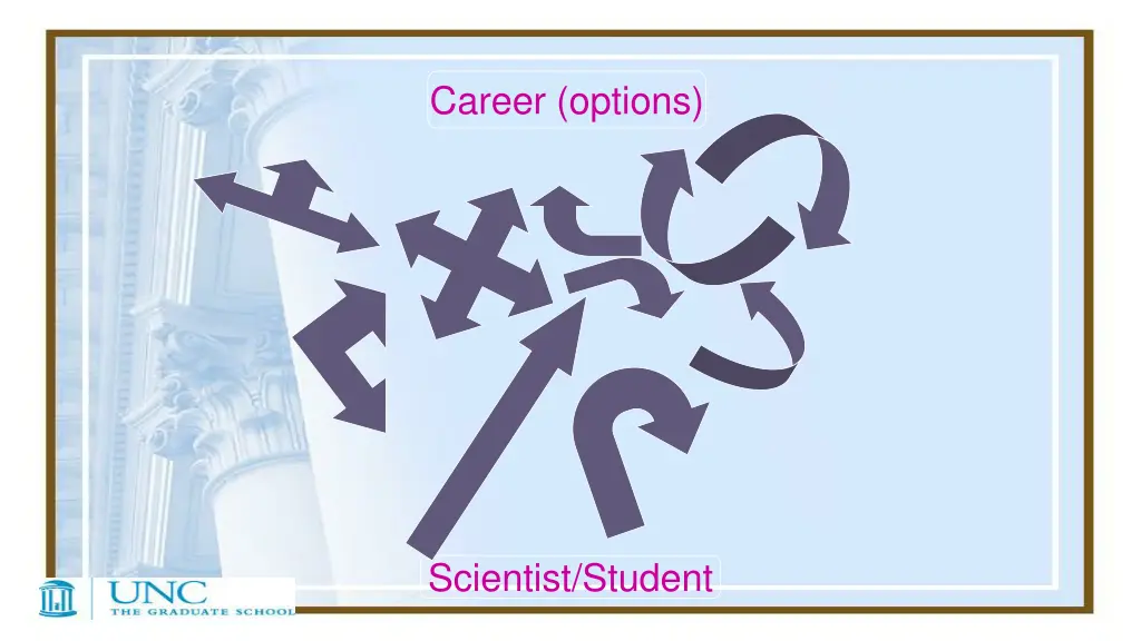 career options 2