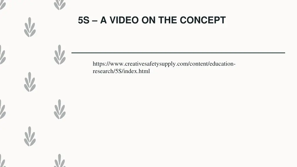 5s a video on the concept