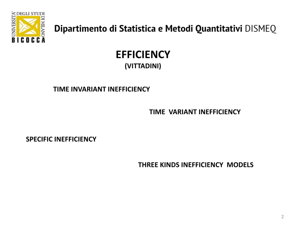 efficiency vittadini