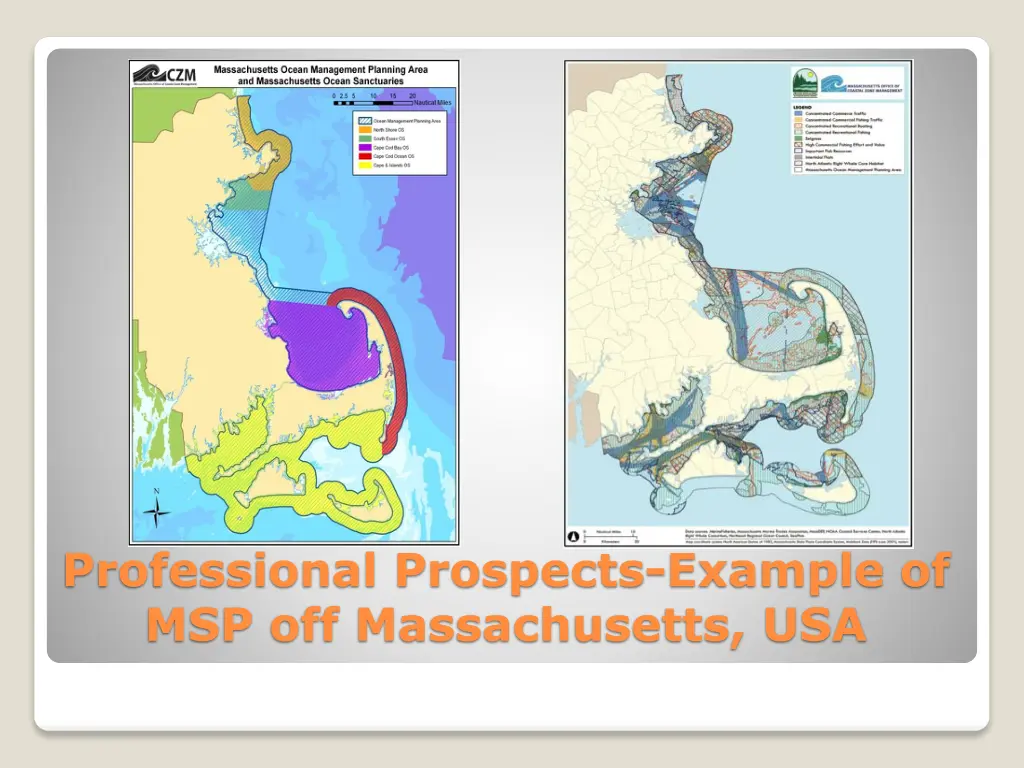 professional prospects example