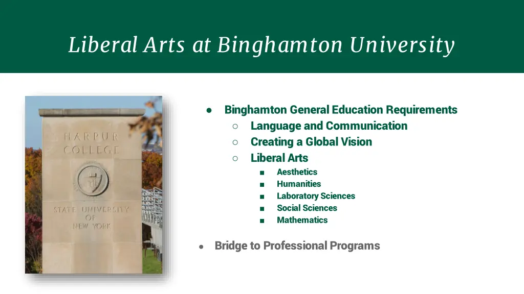 liberal arts at binghamton university