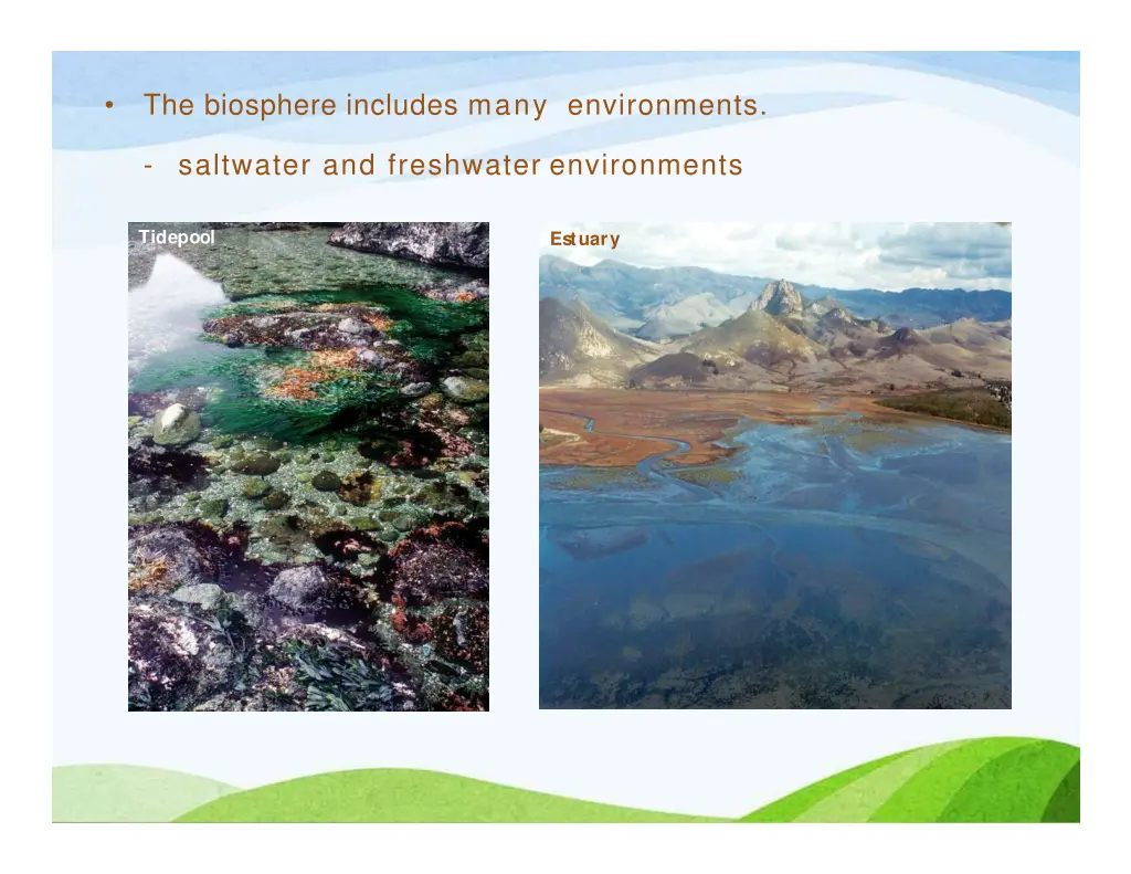 the biosphere includes many environments