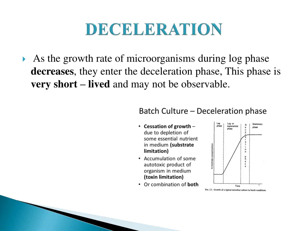 as the growth rate of microorganisms during