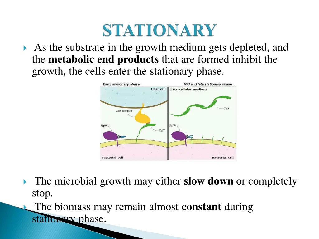 as the substrate in the growth medium gets