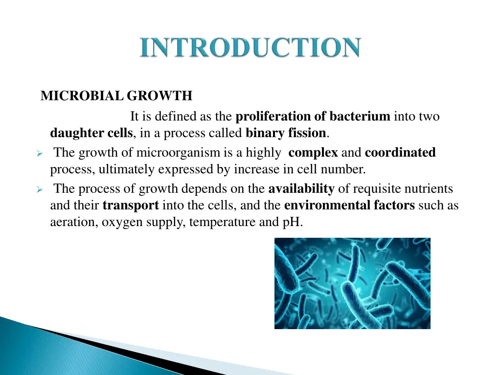 microbial growth daughter cells in a process