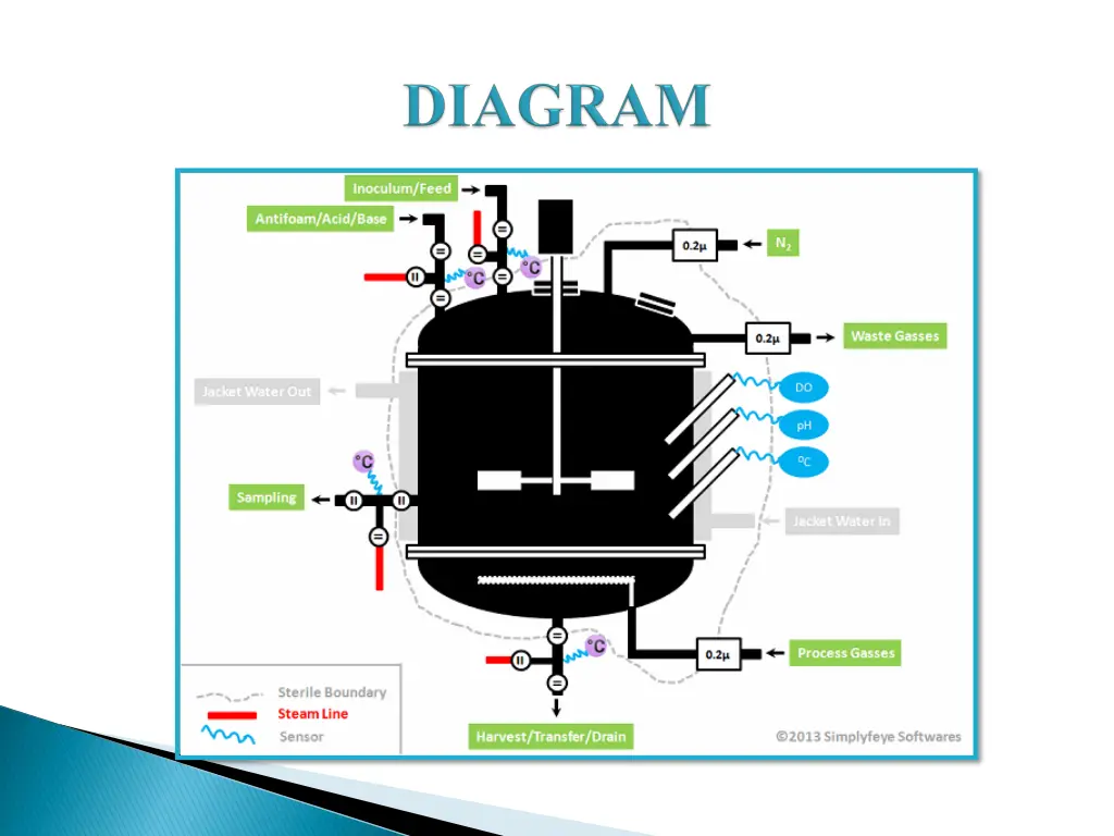 slide7