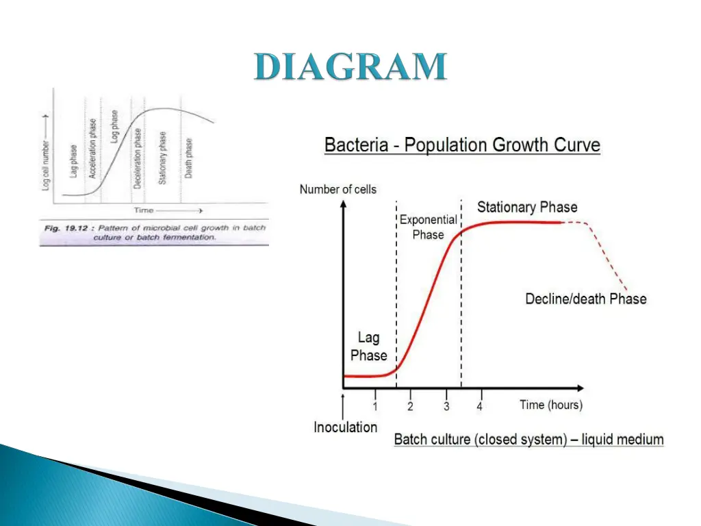 slide8