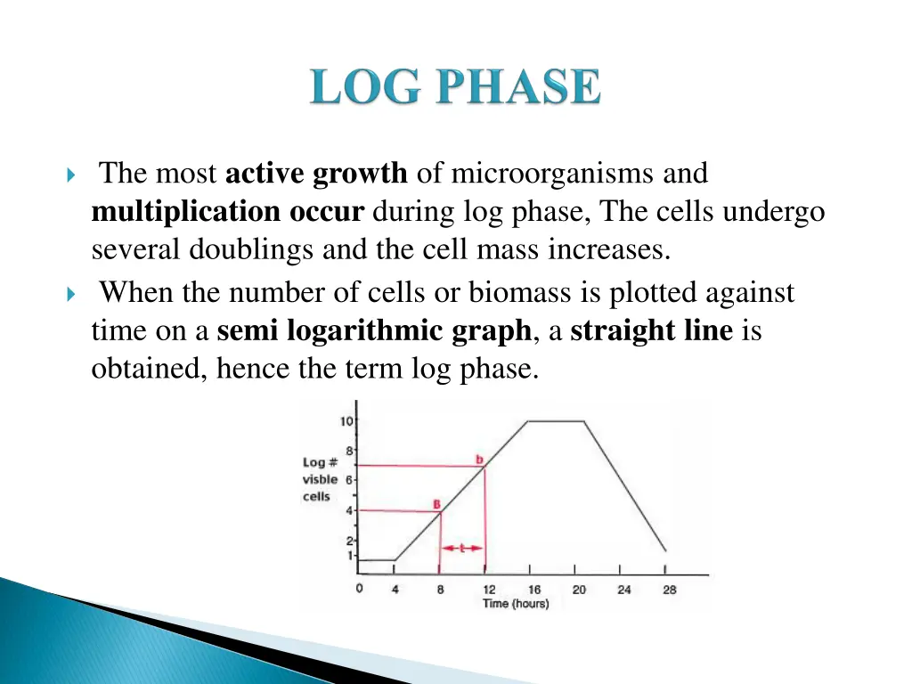 the most active growth of microorganisms
