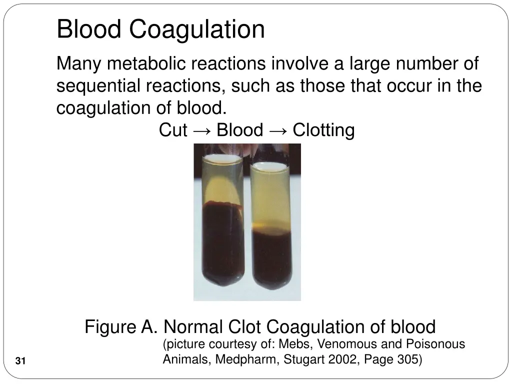blood coagulation 1