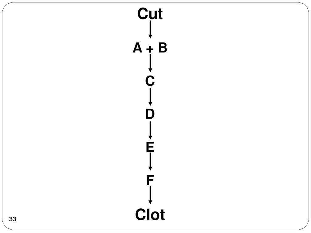 slide33