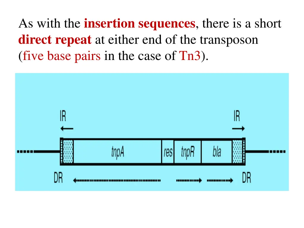 as with the insertion sequences there is a short