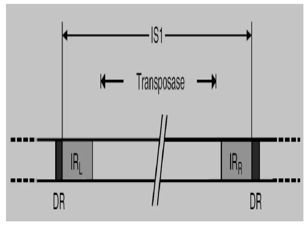 slide10