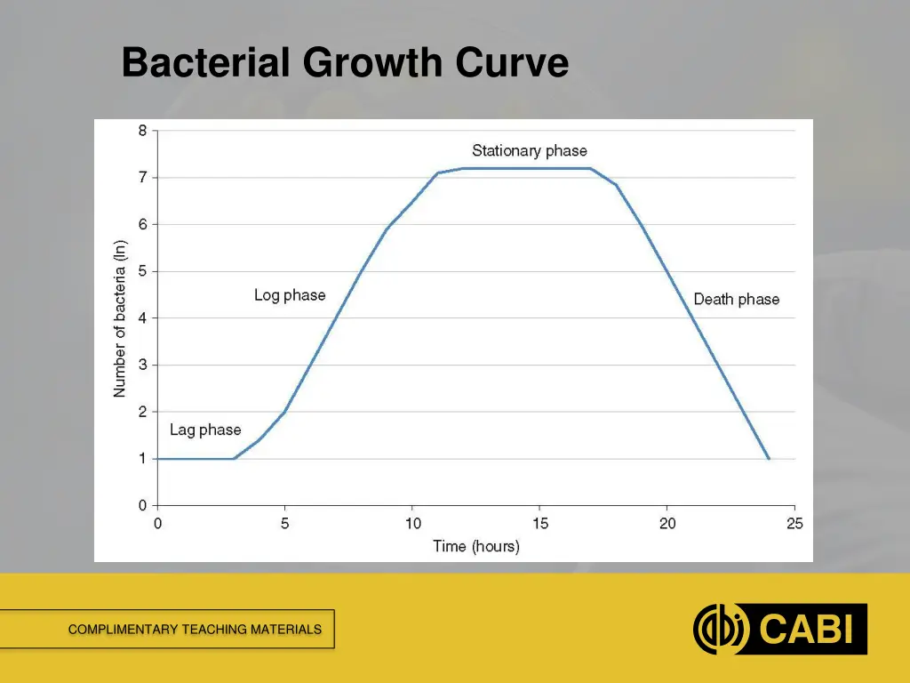 bacterial growth curve