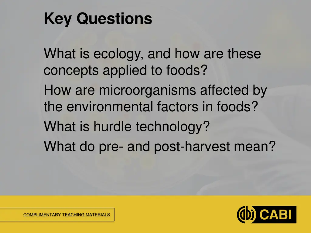 key questions