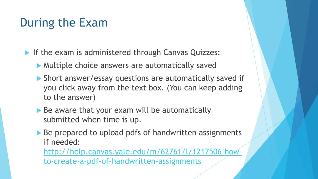 during the exam