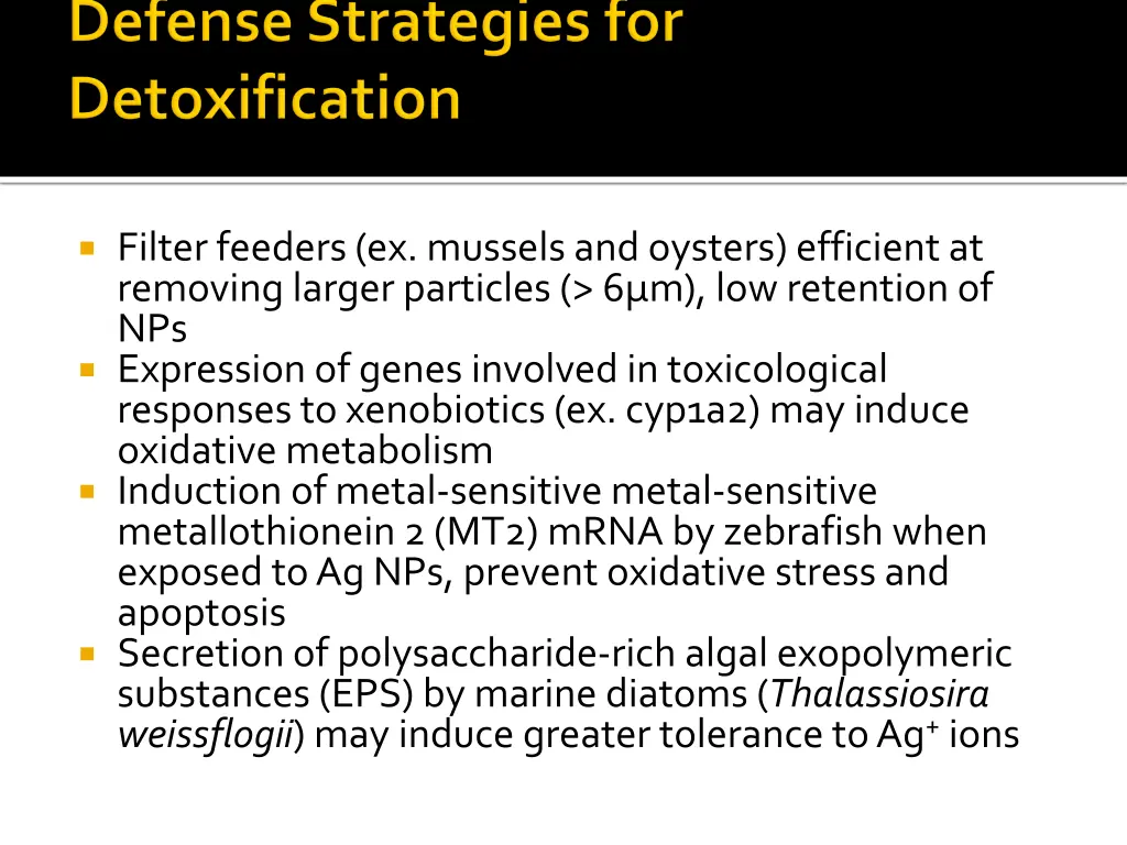 filter feeders ex mussels and oysters efficient