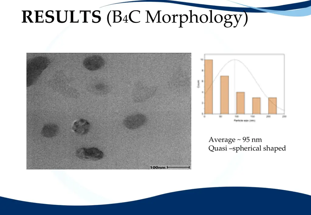 results b 4 c morphology