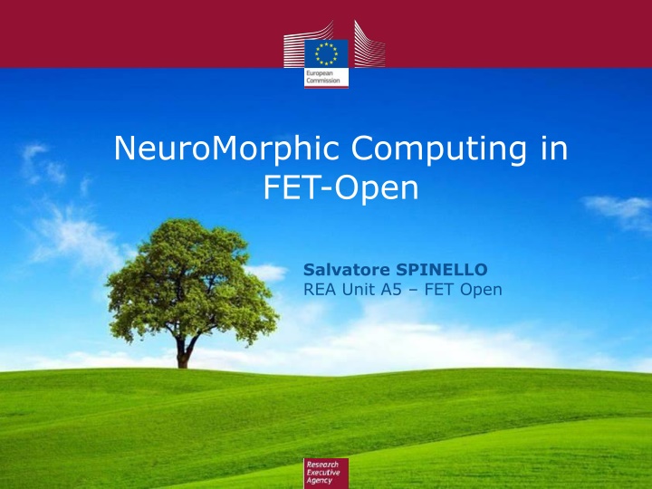 neuromorphic computing in fet open