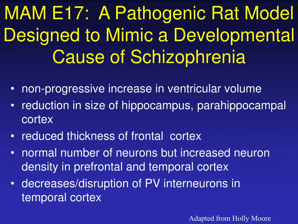 mam e17 a pathogenic rat model designed to mimic