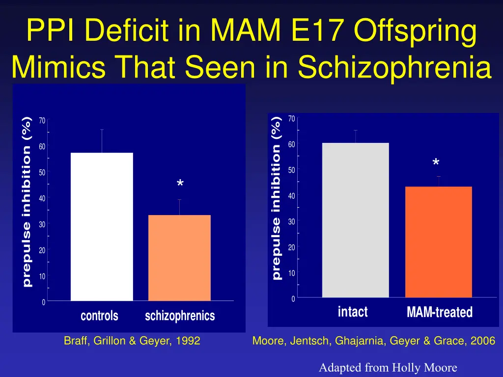ppi deficit in mam e17 offspring mimics that seen