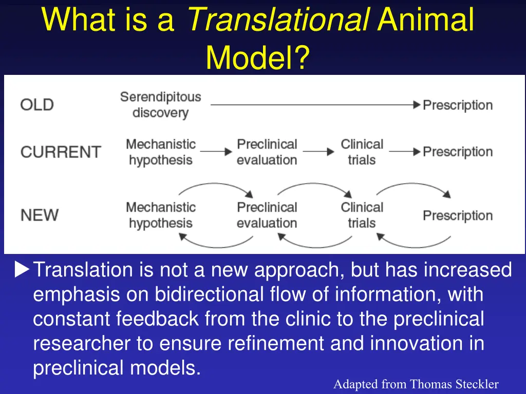 what is a translational animal model