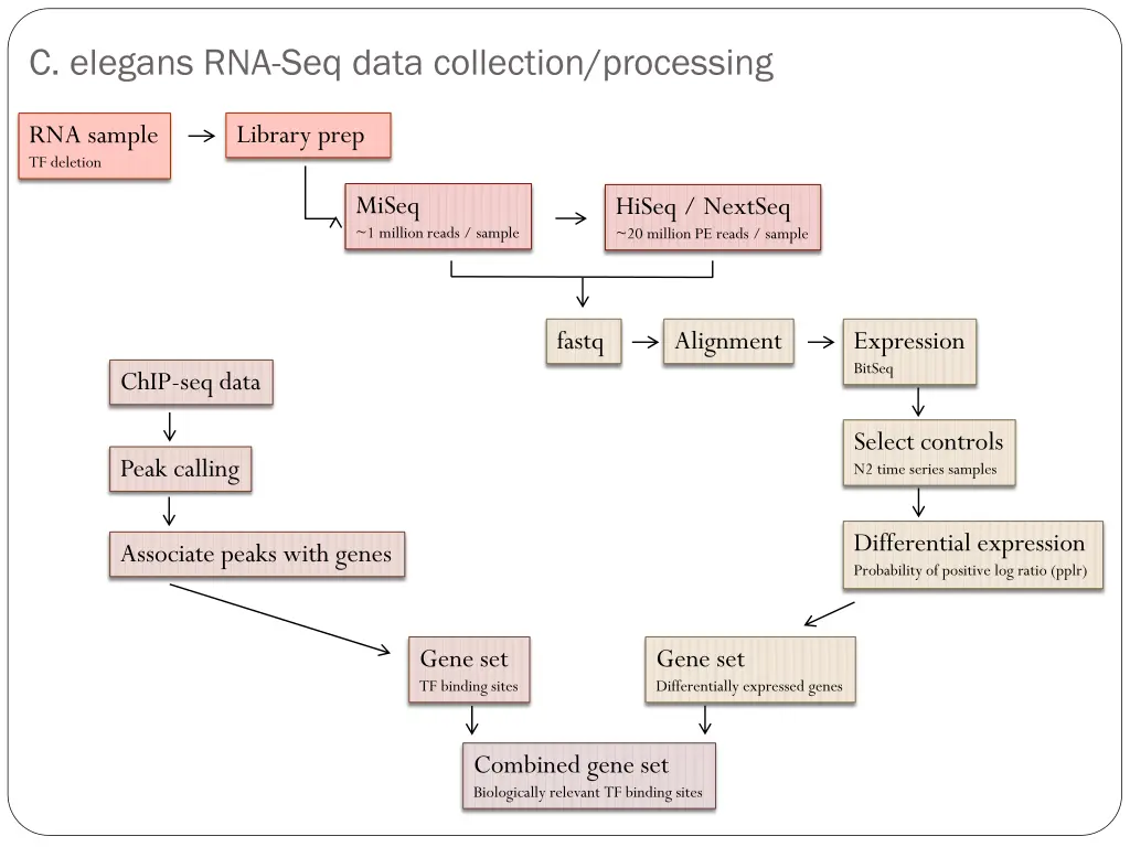 c elegans rna seq data collection processing
