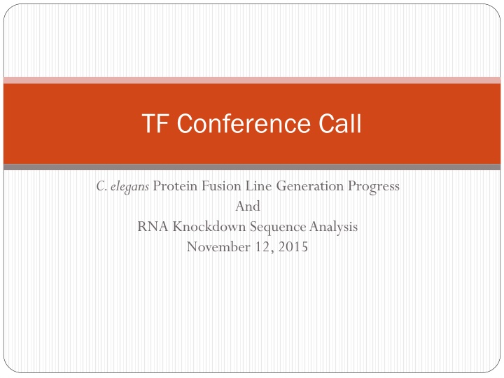 tf conference call