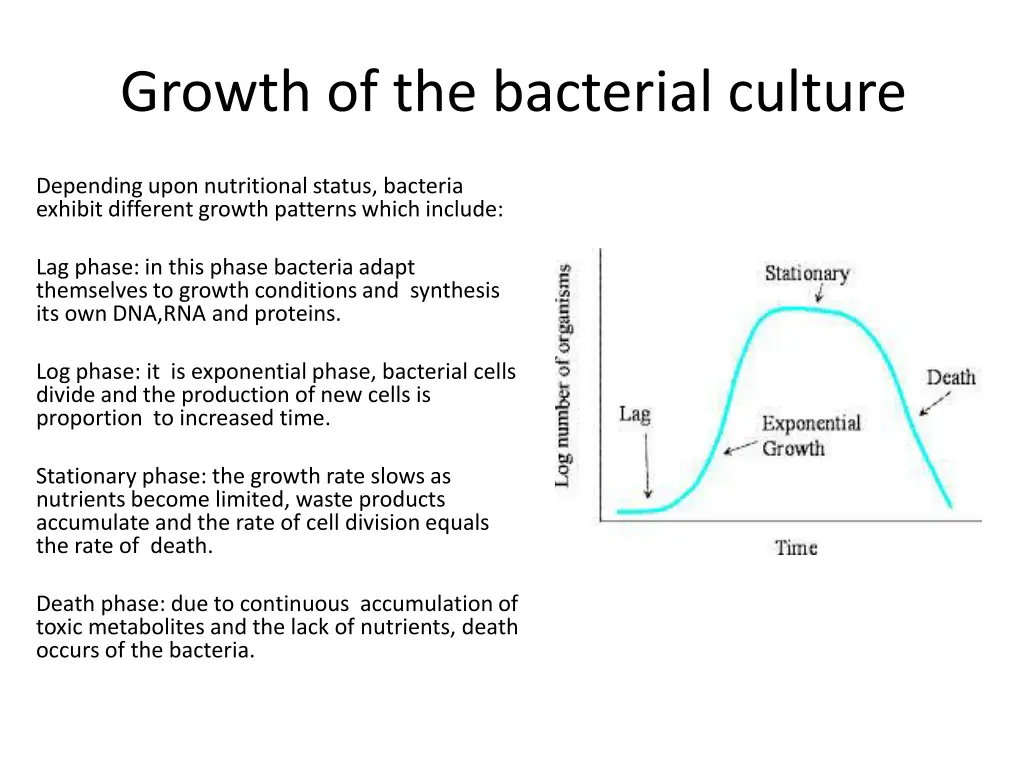 growth of the bacterial culture