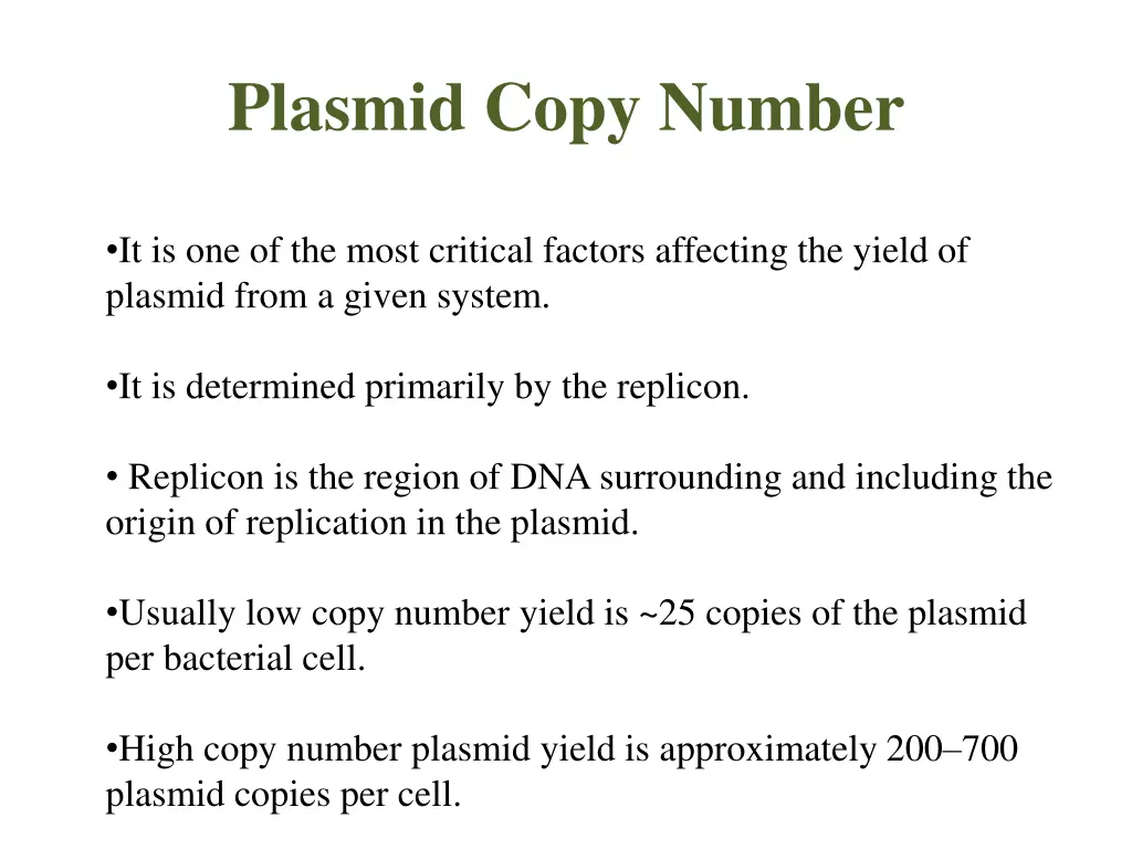plasmid copy number