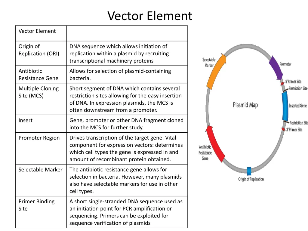 vector element 1