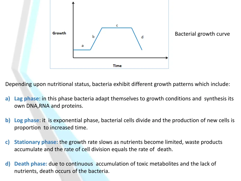 bacterial growth curve