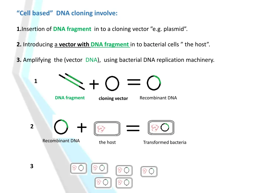 cell based dna cloning involve