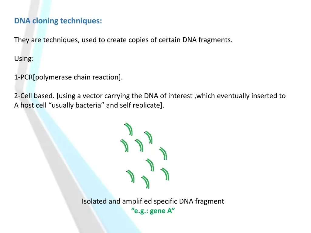 dna cloning techniques