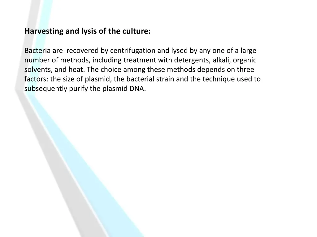 harvesting and lysis of the culture