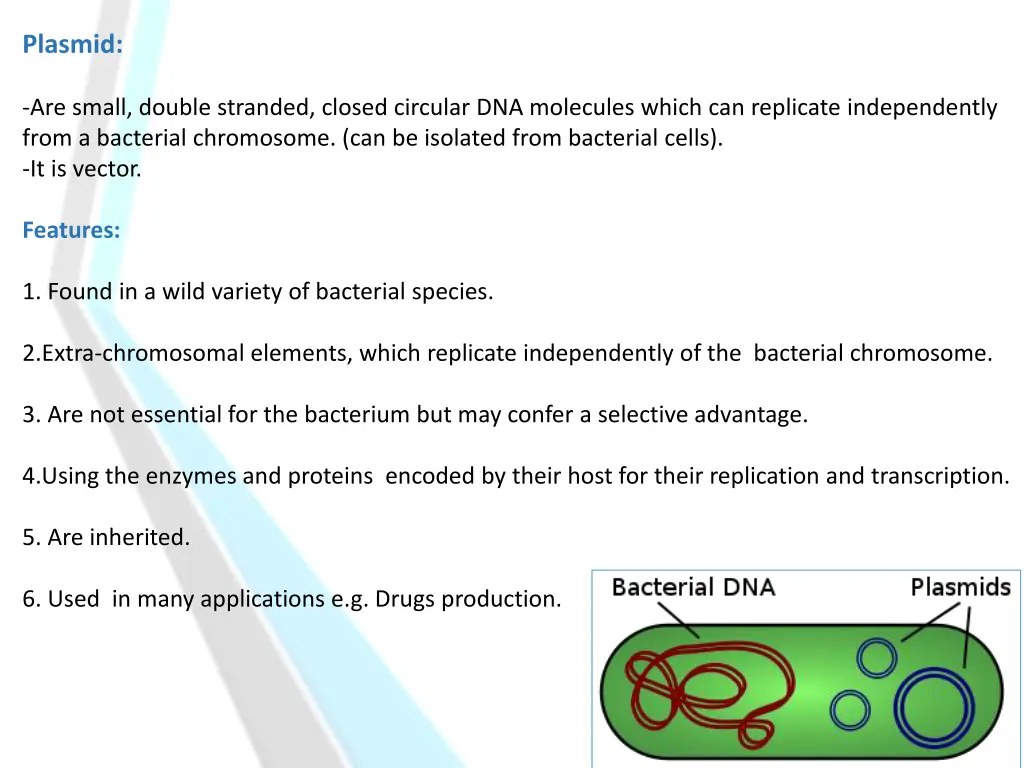 plasmid