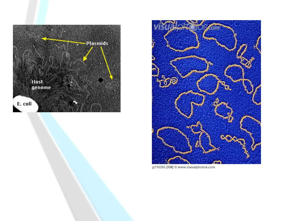 slide4