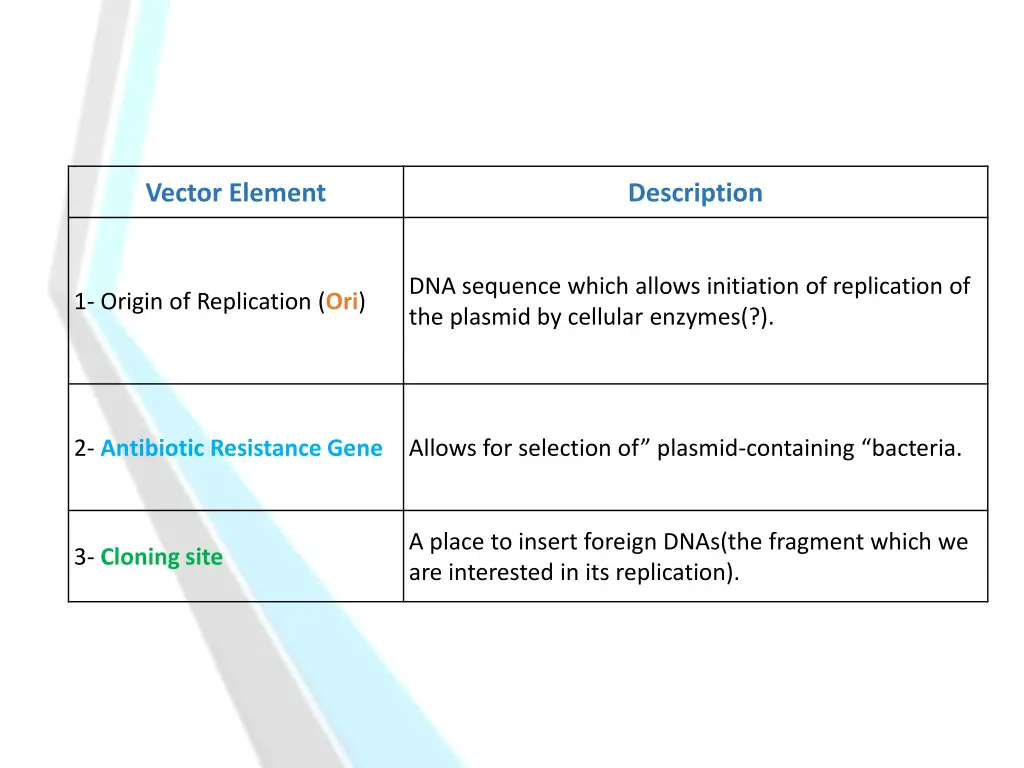vector element