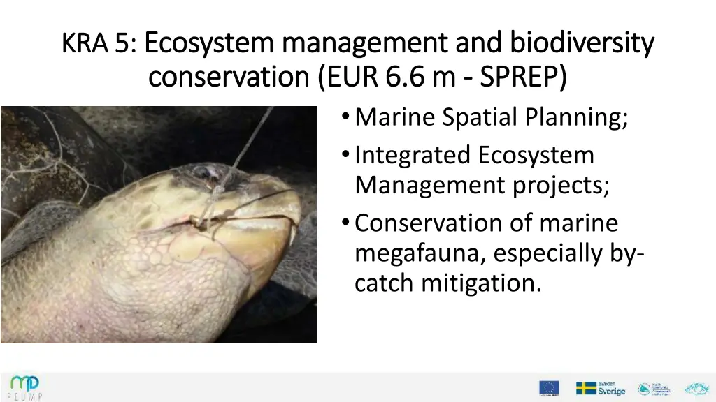 kra 5 kra 5 ecosystem management and biodiversity