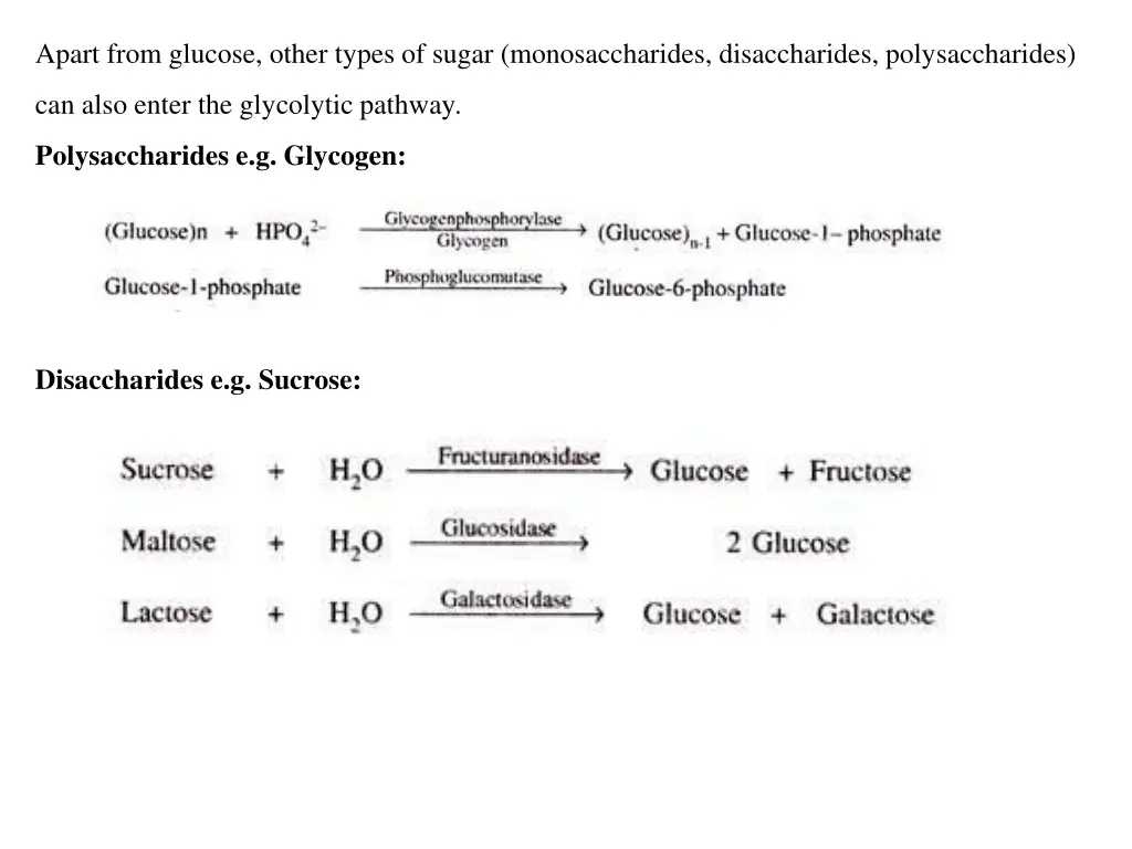 apart from glucose other types of sugar