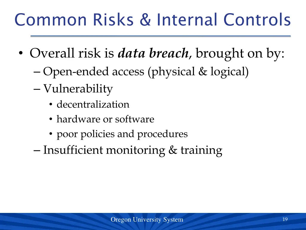 common risks internal controls 1